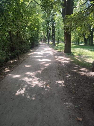 The image depicts a sun-dappled park pathway in Bielsko-Biała, Poland. The path, made of fine gravel or dirt, meanders through a lush green park lined with mature trees. Sunlight filters through the dense foliage, casting dappled shadows across the ground.
In the distance, a lone figure, likely a woman, can be seen walking along the path, her back to the camera. The presence of a single person suggests a peaceful, perhaps solitary stroll. The park setting is serene, with green grass bordering the path and more trees extending into the background. The lighting indicates it is daytime, likely midday or early afternoon, given the bright sunlight and distinct shadows. The leaves on the trees are full and vibrant, suggesting it is late spring or summer.
Notable details include several traditional lampposts along the left side of the path, hinting at a well-maintained public park designed for leisurely walks. The overall mood of the image is tranquil and inviting, capturing a quiet moment in a natural urban setting. There is no visible text in the image.