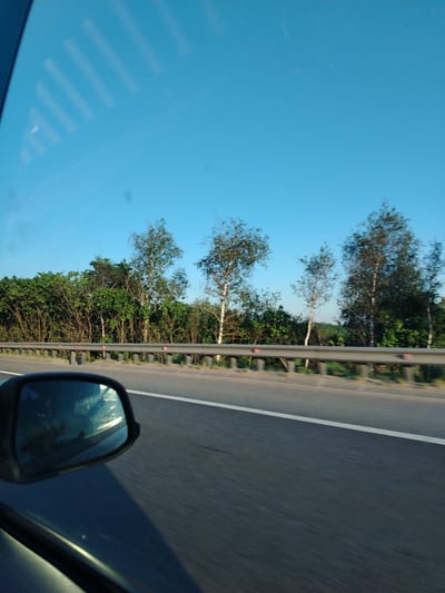 The image depicts a view from a moving vehicle, likely a car, on a highway. A side mirror is visible in the foreground. A guardrail runs alongside the road, separating the highway from a wooded area with trees of varying heights. The sky above is clear and blue. The road surface is asphalt with a white lane marking. The scene does not clearly depict a city, but given the request for its location to be in Mitino, Russia, it is likely a highway or road in the outskirts or edges of that region.