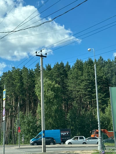 The image depicts a street scene in the village of Berëzki SNT (Znamya Oktyabrya), Russia, on a sunny day with scattered clouds. A dense forest of pine trees forms the background. In the foreground, a two-lane road is visible, with a pedestrian crossing. Several vehicles are present, including a blue van, a black car, two white sedans, an orange dump truck, and a black truck with Russian text. A pedestrian traffic light shows a red walking figure. Several utility poles with overhead wires and a street lamp are also visible. Road signs, including a pedestrian crossing sign and a speed limit sign of 60, are present on the left side of the road.