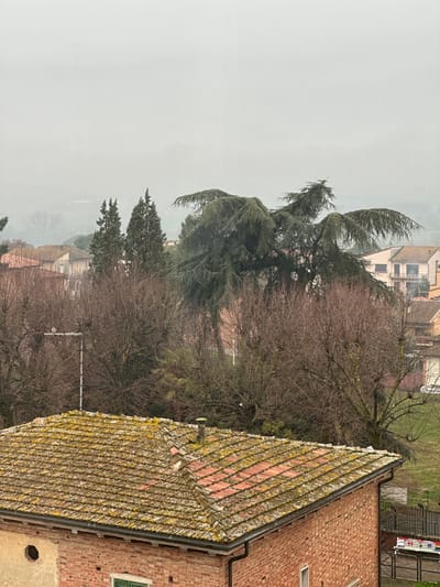 The image displays an elevated view over a residential area in Sinalunga, Italy, under heavily overcast or foggy conditions. In the foreground, the moss-covered terracotta tiled roof and upper brick walls of a building are partially visible. A rain gutter lines the roof edge. A small, dark chimney protrudes from the roof ridge towards the right. A circular opening is present in the brickwork on the left side of the building, and a green shutter is visible below the roofline on the right.
The midground features a dense cluster of trees. A significant portion consists of deciduous trees with bare branches, suggesting a late autumn or winter season. Prominent evergreen trees include two tall, narrow conifers on the left and a large, spreading cedar-like tree with drooping branches centrally positioned. A white antenna-like structure with a horizontal arm extends above the bare trees on the left, on which a small, light-colored bird is perched, facing left. Beyond the trees, multiple residential buildings with terracotta roofs and light-colored facades are discernible. The background is obscured by a uniform, dense gray haze, limiting visibility of the distant landscape. No human subjects are present.