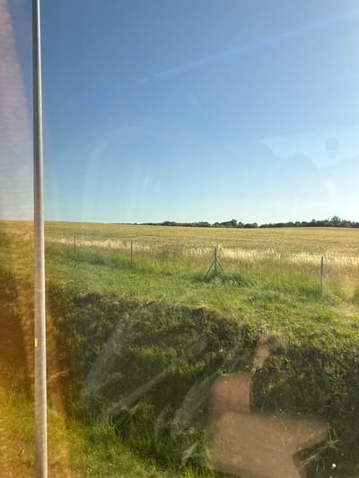 This is a vertical, eye-level shot of a rural landscape in Świebodzin, Poland, likely taken from inside a vehicle due to reflections on a glass surface. The scene is divided into two distinct halves. The left side is dominated by a vast, clear blue sky with subtle lens flare. The right side presents a field of golden-brown crops, possibly wheat or barley, stretching towards a dark line of trees in the distance. A strip of vibrant green grass runs along the right edge of the field, with two fence posts visible in the middle ground. The lighting suggests it's daytime, with the sun casting a warm glow on the landscape, particularly on the right side of the image. The overall mood is serene and captures the essence of a bright, sunny day in the Polish countryside. There is no discernible text in the image.