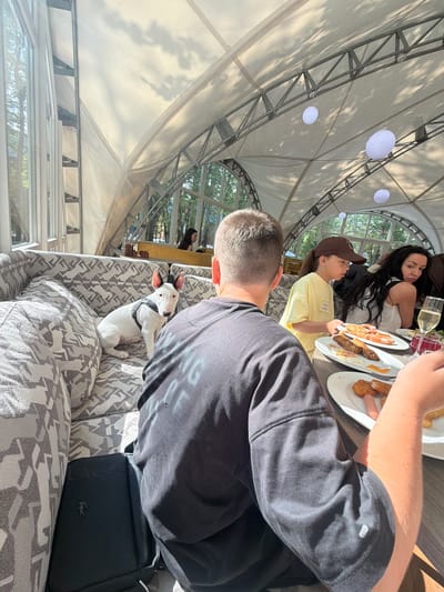 The image shows a group of people dining at a table outdoors under a large, white, tent-like structure with exposed metal beams. Sunlight streams in, casting dappled shadows. On the table, there are plates of food, including what appears to be fried chicken and a hot dog. Glasses of white wine and a red beverage are also visible.

In the foreground, a person is seated, with their back to the camera, wearing a black t-shirt. Next to them, on a patterned sofa, sits a small white dog with black ears, wearing a dark harness. In the background, several other people are seated around the table, including a woman with long dark hair leaning back and a child wearing a yellow shirt and a brown baseball cap, who is looking at the food. Through the open sides of the structure, trees and greenery are visible, suggesting a natural, perhaps park-like setting. The bright sunlight implies it is daytime, likely sunny. A black bag with the "LACOSTE" logo is visible on the sofa. The overall atmosphere seems relaxed and social, suggesting a meal shared among friends or family.