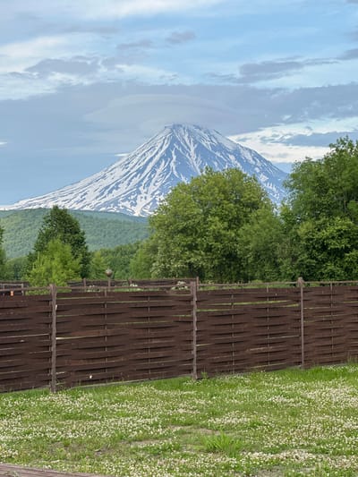 The image depicts a landscape dominated by a snow-capped mountain in the background, likely Mount Koryaksky, visible from Yuzhnyye Koryaki, Russia. The mountain's peak is partially obscured by lenticular clouds. In the foreground, a wooden fence made of horizontal planks runs across the frame. Beyond the fence, a lush green lawn dotted with small white flowers stretches towards the trees. The trees are a mix of deciduous and coniferous species, with vibrant green foliage. The sky is partly cloudy, with soft, diffused light. The overall scene suggests a rural or semi-rural setting with natural beauty and a prominent volcanic peak.