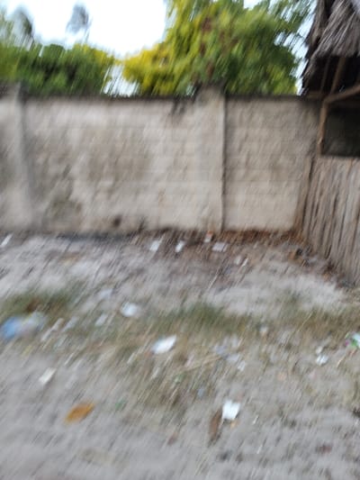 The blurred image depicts an outdoor ground-level scene in Gombato Bongwe ward, Kenya. The foreground consists of light-colored, possibly sandy earth with intermittent tufts of green grass and scattered refuse, including fragmented white paper or plastic, a blue plastic object, and brown organic debris. A light-toned, possibly concrete or masonry wall forms the midground, spanning horizontally across the frame and displaying weathering. To the right, a vertical structure composed of light-brown wooden slats or reeds is visible. Above the wall, green and yellow-green foliage from unseen trees or bushes is discernible against a bright, hazy sky. A dark, textured, possibly thatched roof structure is partially visible in the upper right quadrant, situated above the wooden slats. No individuals, specific actions, or interactions are discernible.