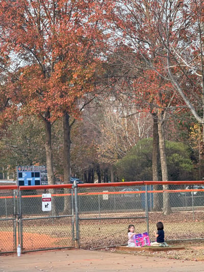 Two children sit beside a chain-link fence, one holding a pink package. The fence runs alongside a baseball field with a score board reading “Panthers”.  Trees with colorful autumn leaves provide a backdrop. A sign warns of a leash law, while a light-colored pathway borders the field. A muted color palate characterizes the scene, evoking a feeling of fall.