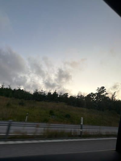 The image captures a view from a moving vehicle, likely on a highway. The foreground shows a portion of the road and a concrete barrier with a metal railing. Beyond the barrier, a grassy embankment slopes upwards, dotted with trees and vegetation. The sky above is overcast with diffused light, suggesting either early morning or late evening. The scene appears to be in a rural or semi-rural area. Based on the visual cues, this scene is consistent with a highway location in or near Tanumshede, Sweden, a municipality known for its scenic roads and natural landscapes.