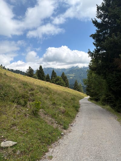 The image depicts a winding paved road through a mountainous landscape. On the left, a grassy slope rises, dotted with sparse trees. On the right, a dense forest of evergreen trees lines the road. In the distance, layered mountain ranges fade into the hazy sky, which is partly cloudy. The scene appears to be a natural, undeveloped area, possibly a hiking trail or a road in a rural mountainous region. There are no people or specific man-made structures visible beyond the road itself. The overall impression is one of natural beauty and tranquility.