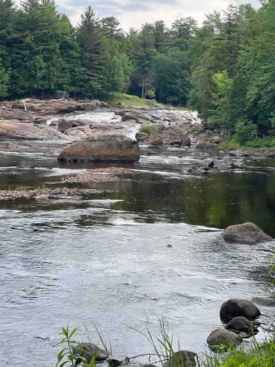 The image depicts a natural scene in the Village of Lyons Falls, United States of America, featuring a river with rocky banks and a backdrop of dense forest. The river flows over a series of rapids and rocks, with several larger boulders visible in the foreground and midground. The water is dark and reflects the surrounding greenery and the cloudy sky. Along the banks, an abundance of trees, primarily evergreens, creates a lush, green landscape. The overall impression is one of a secluded, wild environment. There are no people visible in the image.