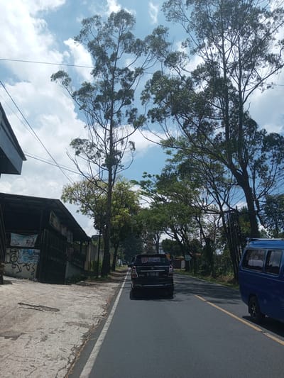 The image depicts a street scene in what may be the outskirts of a city. A black car with license plate "F 1443 KD" is positioned in the center of the roadway, behind which is a blue van. The road is paved, with a single yellow dividing line. The left side of the image shows a weathered building with advertisements or posters displayed. A sidewalk runs adjacent to the building. The right side shows some vegetation. A mix of tall, mature trees with bare trunks and leafy canopies are seen, partially obscuring a sky with a mix of blue and scattered clouds. There are also telephone wires crossing the sky. The exact location in the city of Kioumaknao 2, Laos, is not possible to determine from the image.