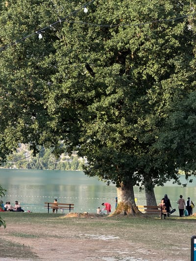 The image depicts a sunlit, outdoor scene near a body of water, likely a lake, with people engaged in recreational activities. The time of day appears to be late afternoon or early evening, suggested by the warm, low-angled sunlight casting shadows and highlighting the foliage. The weather seems pleasant and warm, conducive to outdoor gatherings.
The main subjects include a large, leafy tree dominating the left side of the frame, its branches reaching towards the water. Along the edge of the water, there are several people. Some are seated on benches, observing the surroundings or resting. Others are closer to the water's edge, with a few appearing to be wading or preparing to enter the water. The water itself is calm and reflects the surrounding greenery and sky. The ground in the foreground is covered with dry grass.
The overall atmosphere is relaxed and leisurely, indicative of a summer day at a popular lakeside spot. The presence of string lights, partially visible, suggests the area might be used in the evening as well, perhaps for events or ambient lighting.
There are no discernible text elements within the image. The location context of Novalaise, France, aligns with the visual cues of a European lakeside setting, potentially a public park or swimming area.