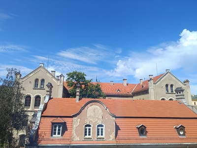 The image shows a view of historic buildings with red tiled roofs in Legnica, Poland. The buildings are of various architectural styles, with some featuring ornate detailing and arched windows. A large tree with dense green foliage is visible between two of the buildings. The sky is blue with scattered white clouds, suggesting fair weather. The scene is a daytime shot, likely taken from a higher vantage point, offering a panoramic perspective of the rooftops and architectural elements of the city.