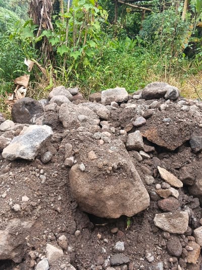 The scene is an outdoor environment in Makilala, Philippines. The foreground is dominated by a substantial pile of dark brown soil intermixed with numerous unhewn rocks of varying sizes, primarily in shades of gray and brown. The rocks range from small pebbles to larger, irregular stones, many showing adherence of soil. Directly behind this pile, the midground and background consist of dense, wild green vegetation, including broad-leafed plants, grasses, and what appears to be dried, light-brown plant material resembling banana leaves on the left. Faint, slender vertical structures, possibly bamboo or wood, are partially visible within the distant foliage. No individuals, animals, or explicit actions are present within the frame. The lighting suggests natural daylight.