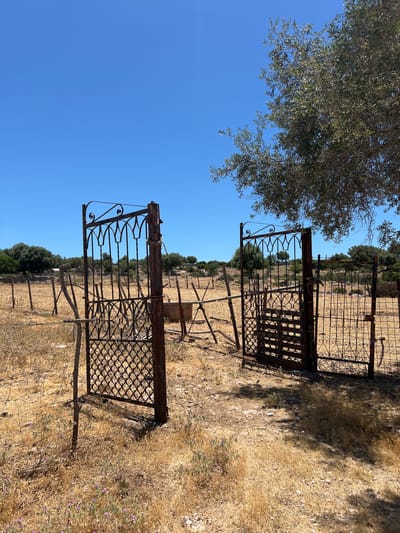 An arid, rural landscape under a clear blue sky features two old, rusted iron gates. The gates are ornate, with decorative scrollwork at the top and a diamond pattern in the lower sections. They stand open, with a wire fence running between them and extending into the distance. The ground is covered in dry, yellow grass and scattered stones. In the background, several trees and bushes dot the hilly terrain. To the right of the gates, a large tree with green leaves casts a shadow on the ground. A concrete trough or basin is visible behind the left gate, and a wooden post with twine is attached to its side. The scene appears to be a remote, undeveloped area.