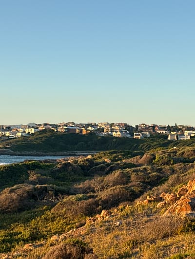 The image presents a panoramic view of a dramatic coastal landscape, likely captured during either sunrise or sunset, judging by the warm, golden light illuminating the scene. The upper portion of the frame is dominated by a vast, clear sky, transitioning from a serene light blue on the left to a very subtle, pale yellow tint on the right.
Below the sky, a long stretch of rugged cliffs forms the main geographical feature. These cliffs are covered in a dense array of green shrubs, dry grasses, and scattered trees, interspersed with prominent reddish-brown rock formations. The low-angle sunlight casts long, soft shadows that emphasize the intricate textures and contours of the cliff face and its vegetation.
Along the crest of the cliffs, a continuous line of buildings, predominantly residential houses, is visible. These structures, mostly light in color, gleam in the direct sunlight, appearing to be built overlooking the expansive body of water. The ocean or sea itself is visible in the lower right section of the frame, with gentle waves breaking near the base of the cliffs, reflecting the soft light from the sky.
There are no individuals or specific activities discernible in the photograph. The scene focuses on the natural beauty of the coastline and the subtle integration of human settlement within this wild environment. No visible text is present anywhere in the image. This picturesque vista is located within the Overstrand Local Municipality, South Africa.