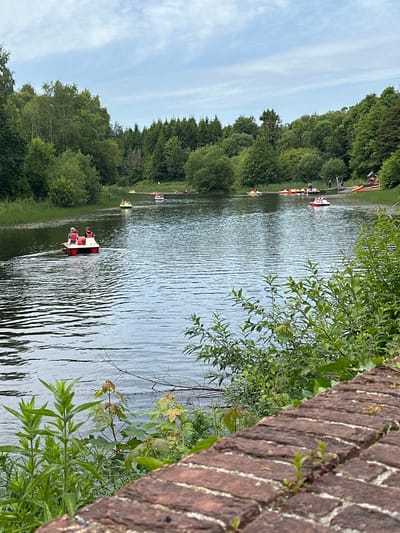 The image depicts a serene view of the River Nore in Castlecomer, Ireland, on a cloudy day. The river is dotted with several paddle boats, each occupied by a few individuals enjoying a leisurely outing. The banks of the river are lined with lush green trees, creating a dense forest that stretches as far as the eye can see. In the foreground, a brick wall runs along the edge of the river, with small plants growing between the bricks. The overall atmosphere is peaceful and idyllic, with the gentle ripples on the water reflecting the overcast sky.