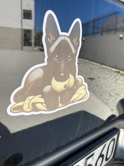 A sticker depicting a brown dog with a golden paw print is affixed to the black surface of a vehicle. The vehicle is parked in an unspecified location within the city of Pelinovo, Montenegro. A portion of a license plate is visible nearby.