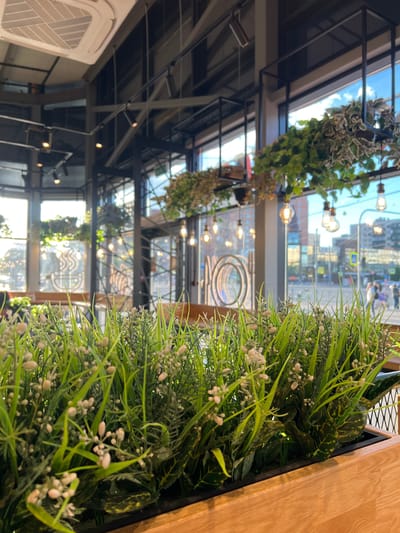 This media file depicts an indoor scene with a large window overlooking a city street. The perspective is from within a cafe or restaurant, with a planter box of artificial greenery in the foreground. The greenery is lush, with long, thin blades and small, off-white buds. To the right of the greenery, a wooden panel is visible.

Through the window, a bustling street scene unfolds. Buildings of varying heights are visible, with signs and traffic lights suggesting an urban environment. Some pedestrians can be seen walking on the sidewalk. The sky appears bright, indicating daytime, possibly late afternoon due to the quality of light. Several light fixtures are hanging from the ceiling inside the establishment, some of which are illuminated.

In the background, suspended from the ceiling structure, are hanging plants. The overall impression is of a modern, possibly trendy, establishment that incorporates natural elements, albeit artificial in this case, to enhance its ambiance. No specific activity or event is clearly depicted. The presence of the window and the street view suggests a location in a city, and the context provided indicates Borisova Griva, Russia. No legible text is visible in the image.