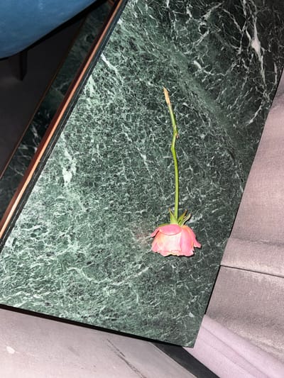 A single, wilted pink rose lies on a dark green marble surface. The rose stem is long and thin, with a drooping blossom. The marble surface has a distinctive veined pattern of white and lighter green. To the right of the marble, a textured grey fabric is visible. The scene appears to be indoors, possibly on a table. The location of Vyshen'ky, Ukraine is not depicted in this image.
