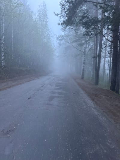 The image shows a road in a forest shrouded in heavy fog. The location is the city of Dom Otdykha Zolotoy Plyazh, Russia. The road surface appears wet, possibly from rain or condensation due to the fog. Trees line both sides of the road, disappearing into the mist. The fog obscures the distance, limiting visibility. There are no people, subjects, objects, actions, or interactions visible in the scene.