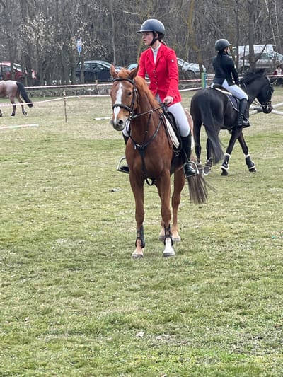 An equestrian scene is depicted outdoors in Kardam, Bulgaria. In the foreground, a young female rider, wearing a dark grey helmet, a bright red riding jacket, white breeches, and dark riding boots, is mounted on a chestnut-colored horse with a white blaze and white lower leg markings. The horse is equipped with a brown bridle, saddle, and dark leg boots. The rider maintains a neutral expression, looking towards the left of the frame. In the mid-ground to the right, a second rider, visible from the back in a dark helmet and dark jacket, is mounted on a black horse with black and white leg boots, walking away from the viewer. A third light-colored horse is partially visible on the far left. The ground is an open, green grassy field. A white and red striped barrier tape separates the field from a line of parked vehicles and bare-branched trees in the background.