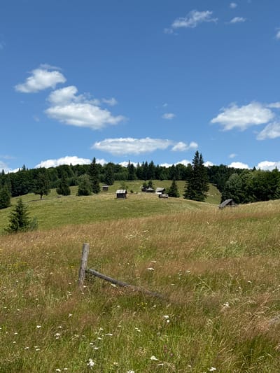 The image depicts a rural landscape with rolling green hills and a forest in the background. The sky is blue with scattered white clouds. In the foreground, there is a field of tall, dry grass with a wooden fence post. Several small wooden structures, possibly huts or sheds, are visible scattered across the hills. The scene appears to be a natural, undeveloped area. The location is identified as Dragoșa, Romania.