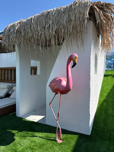 In Baliovtsi, Bulgaria, a pink flamingo statue stands on artificial turf in front of a white, textured building with a thatched roof. The building has two small, rectangular openings and a larger, arched entryway. To the left of the entryway, two white lounge chairs are visible. A wooden ladder-like structure is mounted on the wall to the left of the chairs. The scene is bathed in bright sunlight, casting shadows on the turf. The sky is a clear blue.