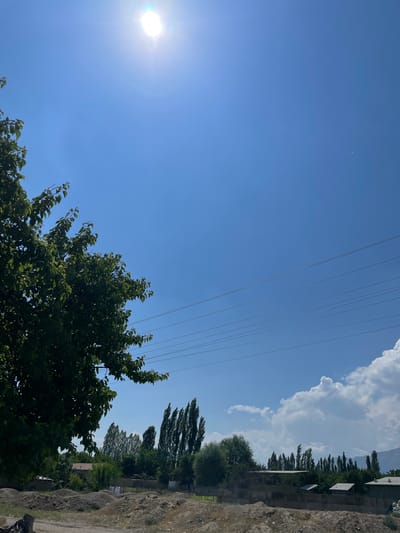 The image captures a bright, sunny day in Bujum, Kyrgyzstan. The sky is a vivid blue, with the sun prominently displayed near the top center of the frame. Several power lines crisscross the sky horizontally. On the left side of the image, the dark green foliage of a large tree dominates the foreground. In the background, a line of tall, slender trees stands against the horizon, interspersed with smaller trees and vegetation. A few low-lying buildings with gray roofs are visible, partially obscured by trees and fences. The ground in the foreground is a mix of dirt and gravel, with some piles of soil. A few scattered clouds dot the sky, particularly on the right side of the image, adding some texture to the vast blue expanse. There are no people or animals visible in the scene. The overall impression is one of a rural or semi-rural setting under a clear, hot sky.
