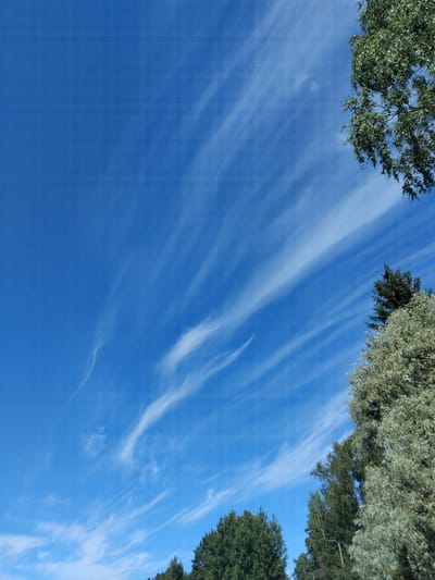 The image shows a clear blue sky with wispy cirrus clouds streaking across it. In the lower right and upper right corners of the frame, there are portions of trees with green foliage. The trees appear to be deciduous and coniferous. The overall scene depicts an outdoor environment, likely a park or natural area, under fair weather conditions. The location is identified as Pälkäne, Finland. There are no people or specific objects or actions visible in the image.