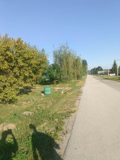 The image depicts a roadside scene in the village of Krasnyi Yar, Russia, under a clear blue sky. A paved road runs diagonally through the frame, bordered by a grassy area with trees and vegetation. On the left side of the road, a mature tree with yellowing leaves stands prominently, casting a shadow on the ground. Further down the roadside, several willow trees with long, drooping branches are visible, alongside other greenery and what appear to be small trees or bushes. A green cylindrical object, possibly a trash bin or barrel, sits on the grass near the trees.
In the distance, along the right side of the road, houses with roofs are visible, suggesting a residential area. A white car is parked in front of one of the houses, and another dark-colored vehicle is parked further down the road. Utility poles with wires are spaced along the right side of the road.
The foreground shows the shadows of two people on the grassy area on the left, one of whom appears to be holding a phone, indicating they are taking a photograph or video. The overall impression is a quiet, sunny day in a rural or semi-rural setting.