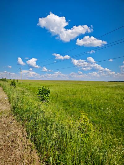 The image depicts a wide, flat, green field under a bright blue sky with scattered white cumulus clouds. Power lines stretch horizontally across the upper portion of the frame, supported by utility poles visible in the distance along the left side of the field. The foreground on the left edge of the image is dominated by dry, cut grass, transitioning into taller, green grass and small bushes that extend into the field. The scene appears to be an open, rural landscape with no people or specific structures identifiable beyond the utility poles and power lines. The overall impression is one of a sunny, serene day in a cultivated or natural grassy area.