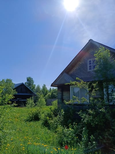 The image shows two wooden houses amidst lush greenery, likely located in a rural setting within Verkhnii Dvor, Russia. The foreground consists of a field of tall grass and yellow dandelions. A single red flower is also visible. The first house, situated on the right, is a one-and-a-half-story structure with visible wooden siding. The second house, located further in the background, is a smaller, darker structure. The sky is a clear blue with a bright sun emitting a lens flare.