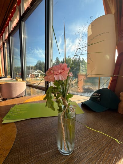 A close-up shot captures a delicate pink flower with green leaves in a glass vase with a twine-wrapped neck, placed on a wooden table. Several blades of grass are interspersed with the flower. To the right of the vase, a dark green baseball cap with the brand "TERMIT" embroidered in white is visible. In the background, a large window overlooks a body of water and a building with a glass roof, surrounded by trees, suggesting a lakeside or riverside setting. The scene appears to be indoors, possibly a restaurant or cafe, with sunlight streaming through the window.