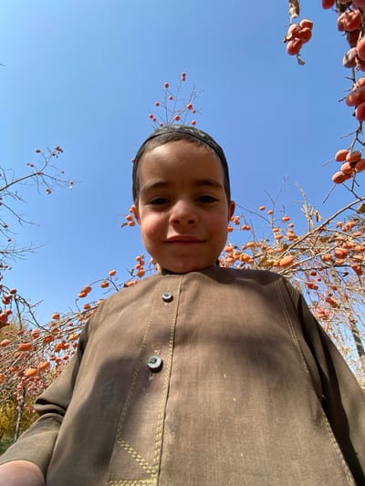 A low-angle, eye-level photograph captures a young boy in an outdoor setting in Bazar-e Panjva'i, Afghanistan. The boy, estimated to be between five and eight years old, directly faces the camera with a slight smile. He wears a dark, possibly black, crocheted skullcap and a loose-fitting, long-sleeved brown tunic with olive-green decorative stitching along the front placket and two visible dark buttons. The background features a clear, bright blue sky. Numerous branches of trees laden with orange, ripening fruits, consistent with persimmons, frame the boy from all sides, creating a dense canopy effect. Some branches are partially bare, while others are heavily fruited. The lighting indicates a sunny day.