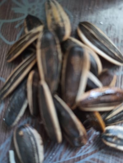 The image shows a close-up, blurry view of a pile of sunflower seeds. The seeds are striped with black and light brown, and are arranged in a seemingly random pile. The surface beneath the seeds appears to be a wooden table with a light brown, wood-grain pattern. The lighting is dim, and the overall impression is one of a casual, domestic setting. There are no people, actions, or interactions visible in the image. The location in the city of Promyshlennaya, Russia is not discernible from the image itself.