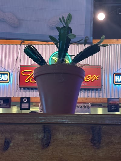 An artificial cactus plant in a brown pot sits on a wooden surface, with a corrugated metal wall and neon signs in the background. The neon signs display the words "DEAD," "HEINEKEN," and "HA." The overall scene suggests an indoor setting, possibly a bar or restaurant. The image was taken in Matthews, North Carolina, United States of America.