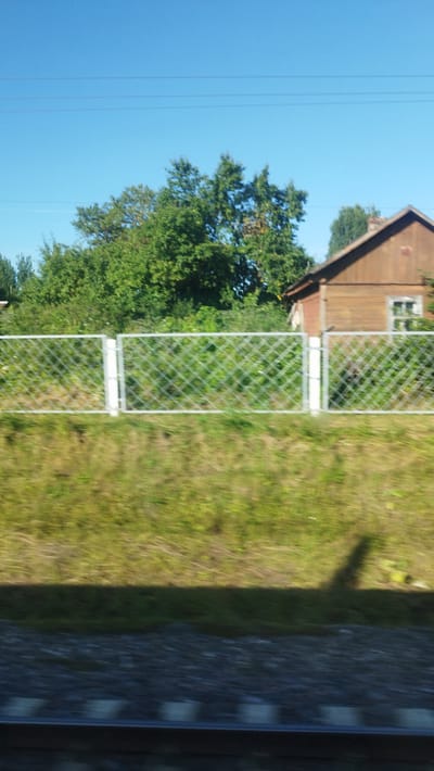 A wide-angle, slightly blurred, outdoor, daytime photograph, taken from a moving vehicle. The foreground shows a portion of railway tracks. The middle ground features a grassy area separated by a chain-link fence with white posts. Behind the fence, lush green trees and foliage are visible. On the right side of the frame, a wooden house with a brown roof and a window with white trim is partially visible amidst the trees. The background consists of a clear, bright blue sky with three thin, horizontal power lines. The location is identified as Pashino, Russia.