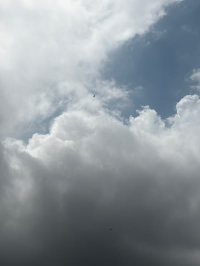 A high-angle, full-shot photograph captures a vast expanse of sky filled with dramatic cloud formations. The clouds vary in density and texture, ranging from thick, white, cumulus clouds that dominate the lower half of the frame to lighter, more diffused clouds higher up. A patch of clear, blue sky is visible in the upper right quadrant, contrasting with the otherwise overcast conditions. Two birds are present in the scene: one is a tiny black silhouette in the upper center of the image, and another, also a small black silhouette, is located in the lower left quadrant of the frame, both appearing to be in flight. The overall lighting suggests it may be daytime, possibly late afternoon or early morning, given the interplay of light and shadow on the clouds. The image was captured in Grapevine, United States of America.