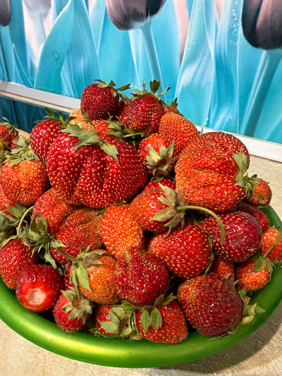 A close-up, high-angle shot displays a generous pile of ripe, red strawberries in a bright green bowl. The strawberries vary in size and shape, with some appearing perfectly formed and others slightly irregular. Many of the berries have visible green stems and leaves attached. The bowl is situated on a light-colored, textured surface, possibly a countertop or table. In the background, out of focus, is a vibrant blue and white patterned material, possibly a curtain or wallpaper, with a textured appearance that suggests fabric or perhaps water droplets. The lighting is bright, highlighting the glossy texture of the strawberries and casting subtle shadows. The image is taken from a perspective that emphasizes the abundance of the fruit. No people are visible in the scene. The setting does not provide any specific clues that would indicate its location in Субханкулово, Russia.