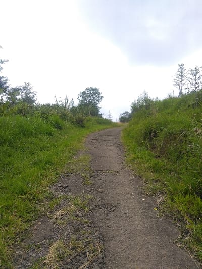The image displays an upward-sloping unpaved path, centrally positioned and receding into the distance under an overcast sky. The path, approximately two meters wide, is composed of dark gray earth and gravel, exhibiting unevenness and small depressions. Dense green grass, shrubs, and scattered trees flank both sides of the path, covering gently rising terrain. Taller trees are discernible on the distant horizon line against the bright, cloudy sky. No human subjects, animals, or man-made structures are visible. The environment is rural, consistent with natural landscapes surrounding Dinant, Belgium.