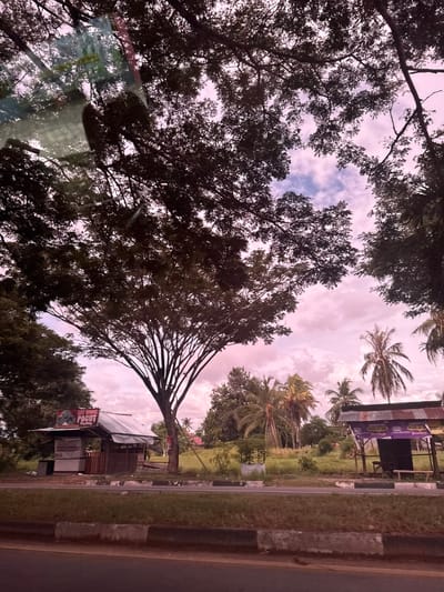 This image depicts a roadside scene in Kampungblang, Indonesia, under a hazy, pinkish sky with scattered clouds. The foreground shows a road with a concrete barrier and a grassy median. On the left side of the road, there is a small, open-air kiosk with a corrugated metal roof and a sign that reads "MIE REBUS PACUT." A white cooler or display case is visible inside the kiosk. Further back, a large tree with spreading branches dominates the mid-ground, its dark foliage silhouetted against the sky. To the right of the large tree, there is another roadside structure, also with a corrugated metal roof, partially obscured by trees and vegetation. Several palm trees are scattered throughout the landscape. The overall impression is one of a rural or semi-rural setting, possibly a roadside rest stop or vendor area. No people are visible in the image.
