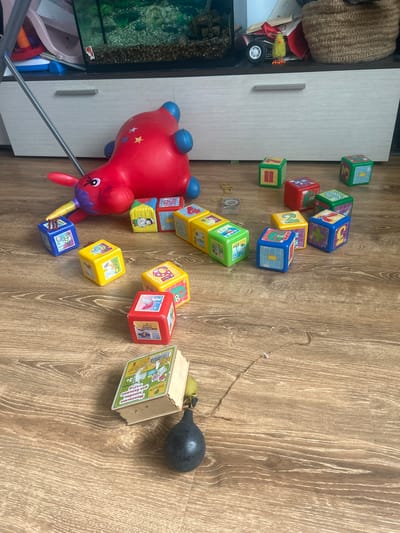The image shows a collection of children's toys scattered on a wooden floor, likely in a room in Супонево, Russia. In the background, a white dresser with a dark top is visible, and on top of the dresser, there's a glass aquarium containing plants and gravel, as well as a small toy car and a yellow chick figurine. A large red inflatable horse-like toy with blue hooves and ears is prominent in the center of the scene. Surrounding the inflatable toy are numerous colorful building blocks, predominantly red, yellow, and green, some with numbers and images printed on them. In the foreground, to the lower right, a small open book with Russian text and illustrations is placed next to a dark bulbous object with a string attached. The lighting suggests it is daytime, with light coming from an unseen source. No people are present in the image.