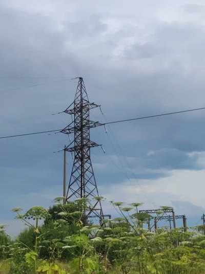 The image depicts a power line tower against a cloudy sky. In the foreground, tall green plants with white flower clusters are visible. The power line tower is a tall, dark metal structure with a lattice design, and it supports thick electrical cables. Behind the main tower, another, shorter structure of a similar design is also visible, suggesting a substation or a junction point. The overall scene is outdoors and appears to be in a rural or semi-rural setting, possibly on the outskirts of Трестна, Russia, given the presence of large power infrastructure. No people or animals are present in the image. The environment is dominated by the power infrastructure and the surrounding vegetation.