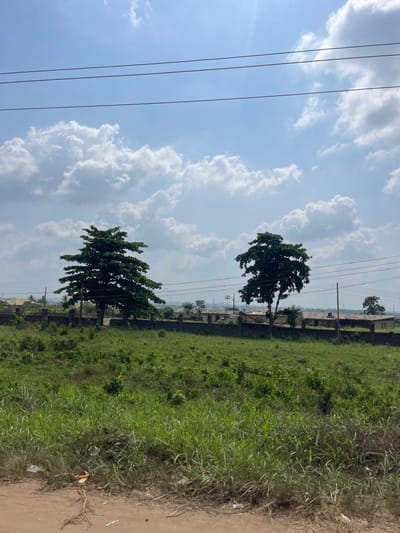 The scene depicts an expansive, undeveloped parcel of land in Oko-Eko, Nigeria, under a bright, partly cloudy sky. The foreground presents a reddish-brown dirt path transitioning into an overgrown field of tall green grass. Two mature, dark-foliaged trees are centrally located within this field. A low, grey concrete or stone perimeter wall runs horizontally across the midground, separating the field from background structures. Beyond the wall, multiple low-rise buildings with light-colored roofs, utility poles, and additional overhead power lines are visible. The distant horizon reveals hazy outlines of further urban or industrial development. No individuals are present in the image.