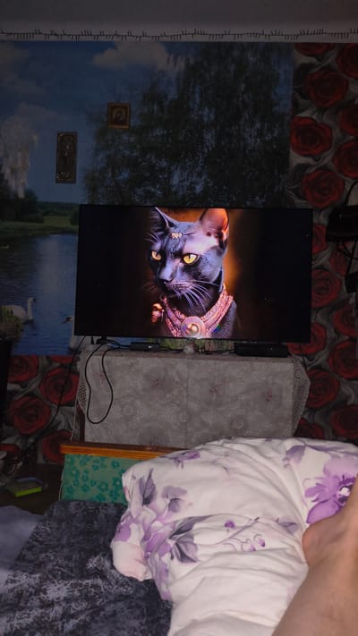 The image shows a dimly lit room with a television set displaying a black cat with yellow eyes wearing a jeweled collar. The television is placed on a table covered with a lace tablecloth. The wall behind the television has a mural depicting a lake with swans and trees, and also a floral wallpaper with red roses. To the left of the television, there are two small framed religious icons hanging on the wall. In the foreground, a bed is visible, with a duvet and pillows that have a floral pattern. A person's foot is resting on the duvet. The scene appears to be in a residential setting in the city of Glinoye, Moldova.