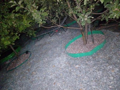 The image depicts an outdoor scene with two young trees, their bases surrounded by gravel and a green border. The ground is covered in small, grey stones. In the background, some foliage and branches are visible. To the left, a thin, dark object with a red and silver component is lying on the ground. To the right of that, a black object with a triangular metal support structure is also visible. The lighting suggests it is nighttime or dusk. The location is specified as Iskitim, Russia.