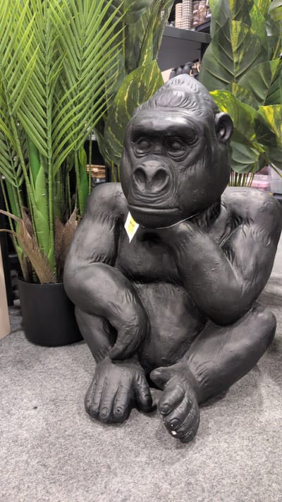 A realistic, dark grey statue of a gorilla is seated on a grey carpeted floor. The gorilla is positioned in the center of the frame, with its left arm bent and resting on its knee, while its right hand is propped up to its chin, giving it a thoughtful appearance. A small, yellow price tag is attached to the gorilla's neck with a white string. Behind the gorilla, to the left, is a large black pot containing a tall, artificial palm plant with long, green fronds. To the right and behind the gorilla, large, artificial tropical leaves with yellow splotches are visible, suggesting an indoor display or store setting. The background consists of shelves with various items. The overall lighting is bright and even. The image is a medium shot, focusing on the gorilla statue and its immediate surroundings. The location of this image is in the city of Sömmerda, Germany.