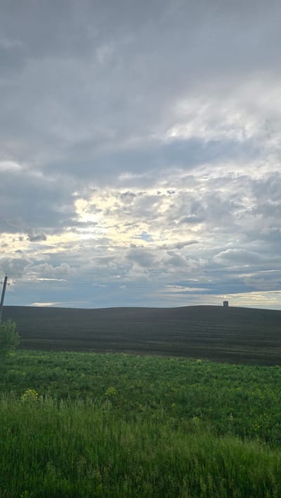 The image displays an expansive agricultural landscape, reportedly located in Leninogorsk, Russia, under an overcast sky. The foreground features a dense strip of uncultivated green vegetation, predominantly tall grasses, interspersed with plants exhibiting small yellow flowers. Immediately beyond this, a wide, dark brown field, consistent with tilled or fallow agricultural land, extends towards the horizon, displaying faint linear patterns across its surface.
On the far right of this tilled field, situated on a gentle rise, a small, light-colored, rectangular structure, resembling a utility shed or a hunting blind, is clearly visible against the horizon. To the left, a utility pole with multiple horizontal power lines is positioned, with a portion of a green tree or large bush obscuring its base. The sky is largely covered by layered grey clouds, though a distinct area of brighter light is evident in the mid-left portion of the sky, indicating a break or thinness in the cloud cover. No individuals, specific actions, or direct interactions are present in the scene. The overall environment appears rural and quiet, characterized by natural elements and agricultural development.