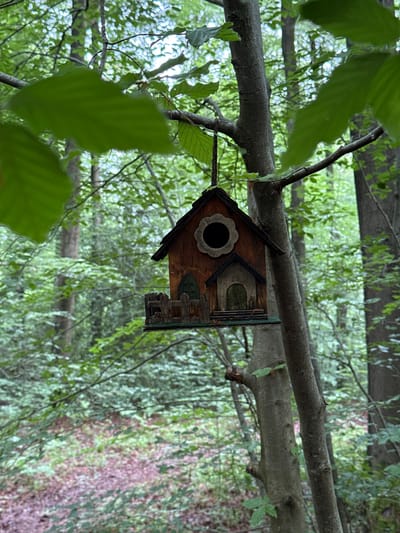 A decorative, multi-toned wooden birdhouse is suspended from a slender, grey-barked tree branch via a dark cord, centered within a dense deciduous forest. The birdhouse exhibits a reddish-brown body, a dark gabled roof with overhanging eaves, and a circular entrance hole framed by a light-colored scalloped border. Below this, a smaller arched entryway with a step-like platform is visible, and a miniature wooden picket fence adorns the left side. The immediate foreground is blurred with large, vibrant green leaves, likely from the same or adjacent trees. Behind the birdhouse, numerous vertical tree trunks of varying sizes extend into the midground and background, flanked by abundant green foliage. Patches of sunlight filter through the canopy, illuminating parts of the leaves and creating a dappled effect. The forest floor, visible towards the lower sections, displays a mixture of green undergrowth and reddish-brown leaf litter or earth. The scene is consistent with the natural woodlands found in Penn, United Kingdom.