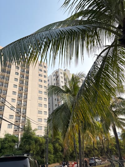 The image shows a street scene in Binong, Indonesia, with tall buildings and palm trees. In the foreground, the fronds of several palm trees obscure parts of the view. Behind the trees, two light-colored, multi-story buildings stand side-by-side, both with numerous windows and balconies. The building on the left appears to be a hotel or apartment complex, with many small windows and air conditioning units visible. The building on the right is similar in height and architectural style, though it seems to have fewer balconies. Power lines crisscross in front of the buildings.

In the mid-ground, a dense grove of bamboo or similar tall, slender trees lines the street. A silver car is parked on the right side of the road, and a motorcycle is visible near it. A few people are gathered on the sidewalk on the left side of the road, appearing to be standing or sitting. The sky above is clear and light blue. The overall impression is a tropical urban environment.