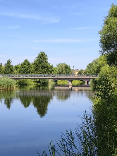 This is a photograph taken on a clear, sunny day, likely in the city of Mjölby, Sweden. The scene depicts a wide, calm river or canal with a stone bridge crossing it. The bridge has decorative railings and is supported by multiple arches. On the far bank, there is a dense line of lush green trees, and behind them, a yellow building is visible, suggesting a populated area. The foreground of the image is dominated by the reflective surface of the water, which mirrors the trees and the bridge. Tall green reeds grow along the near bank of the water, adding to the natural scenery. A single person can be seen walking on the bridge. The sky is a clear blue with a few wispy white clouds.